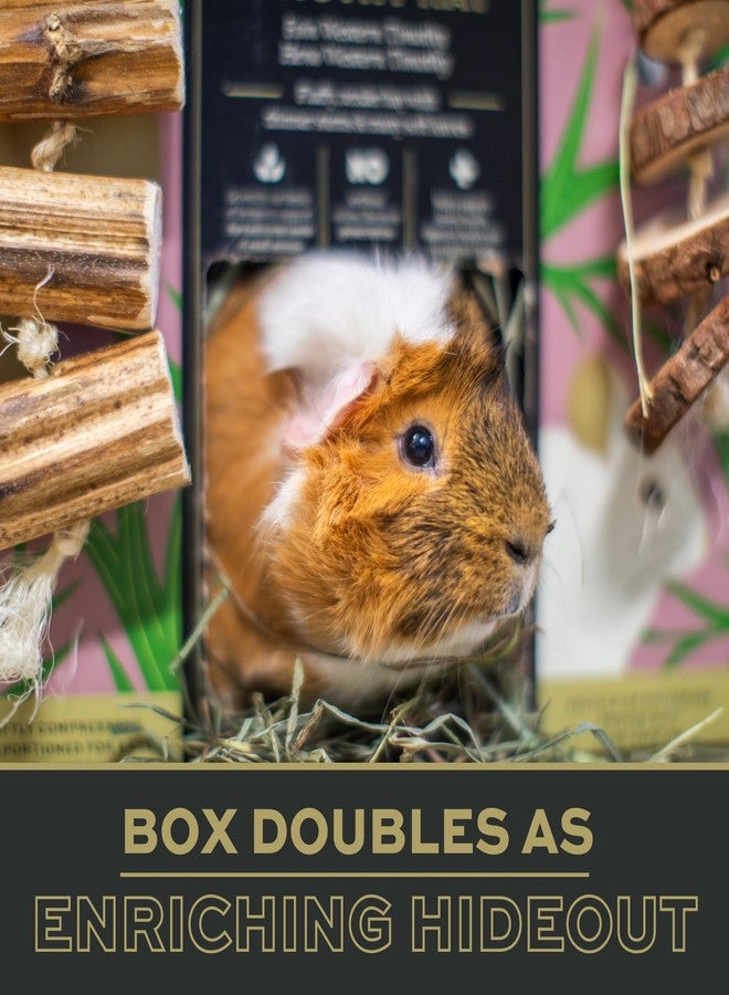 أوكسبو تبن تيموثي ناعم وفاخر من أوكس بو برايم كت، تبن فاخر للأرانب وخنازير غينيا، غذاء غني بالألياف للحيوانات الأليفة الصغيرة مثل الأرانب وخنازير غينيا والشنشيلات، يدعم صحة الأسنان، عبوة 20 أونصة - Image 3