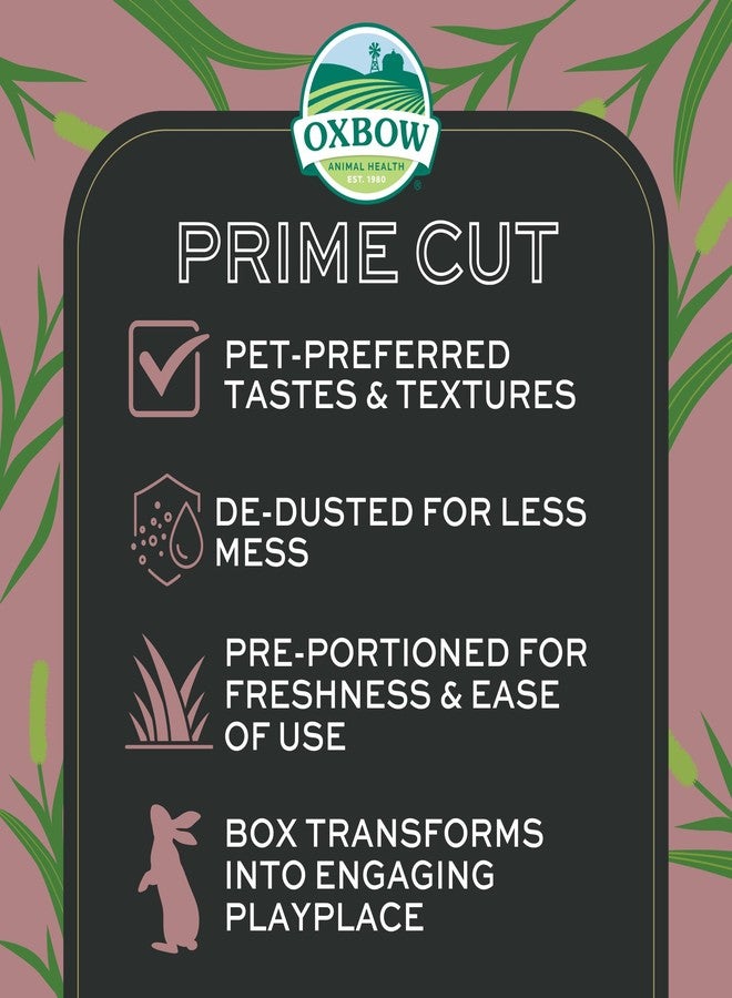 أوكسبو تبن تيموثي ناعم وفاخر من أوكس بو برايم كت، تبن فاخر للأرانب وخنازير غينيا، غذاء غني بالألياف للحيوانات الأليفة الصغيرة مثل الأرانب وخنازير غينيا والشنشيلات، يدعم صحة الأسنان، عبوة 20 أونصة - Image 5