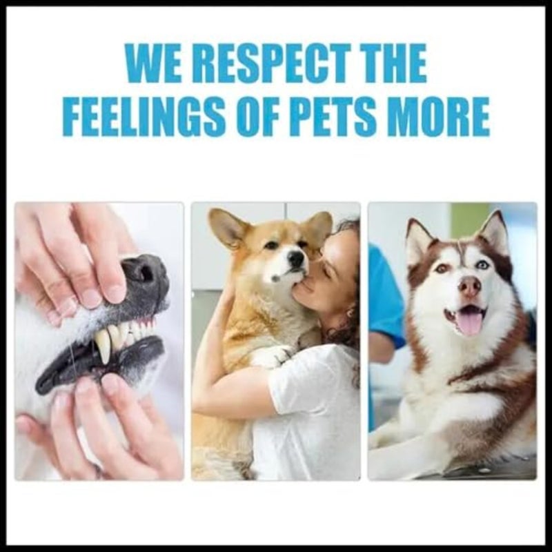Pets Dental Toothpaste for Cats and Dogs, Beef Flavor, Cleans Teeth, Fights Bad Breath and Promotes Strong Teeth 100g - Image 5