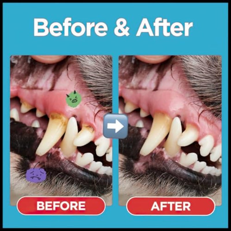 Pets Dental Toothpaste for Cats and Dogs, Beef Flavor, Cleans Teeth, Fights Bad Breath and Promotes Strong Teeth 100g - Image 3
