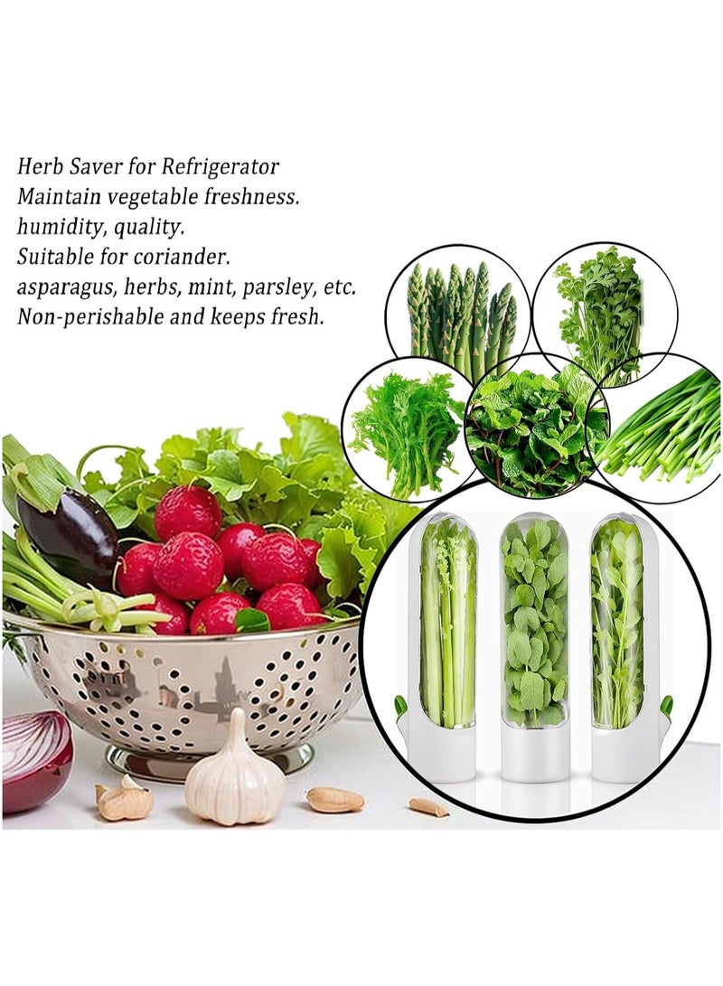 Smart Herb Keeper Pro - 3-Week Freshness Airtight Container for Cilantro/Mint/Parsley, BPA-Free Refrigerator Storage with Humidity Control & Ventilation Grids (Vegetable Saver Box for Greens/Herbs) - Image 3