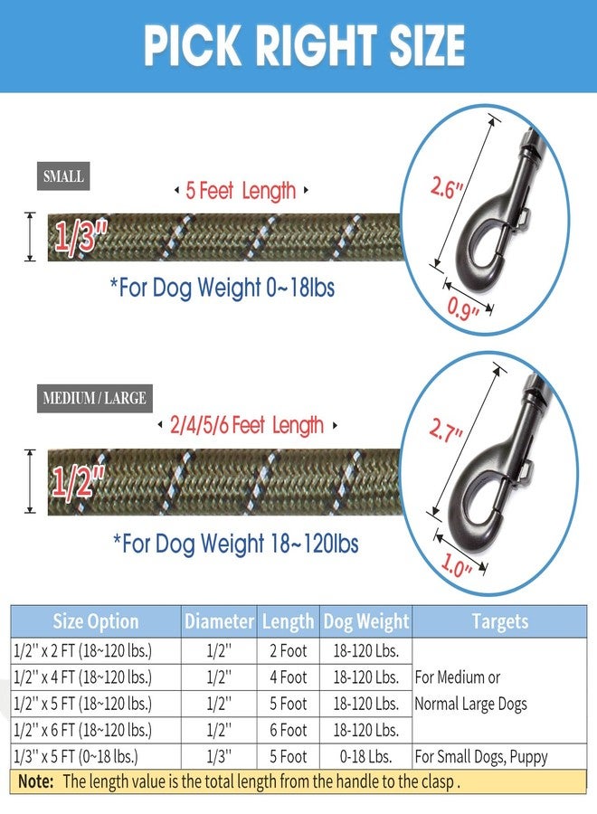 BAAPET 2/4/5/6 FT Dog Leash with Comfortable Padded Handle and Highly Reflective Threads for Small Medium and Large Dogs (5FT-1/2'', Olive Green) - Image 4