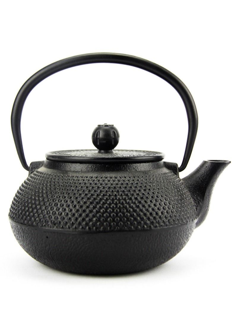 Durable Enamelled Interior Cast Iron Teapot Coated with Enameled Interior 0.6 Liter Black - pzsku/ZE5F5551C22CBAA1C4D33Z/45/_/1662566614/412c06a8-a321-4048-82e0-94909b01ed02