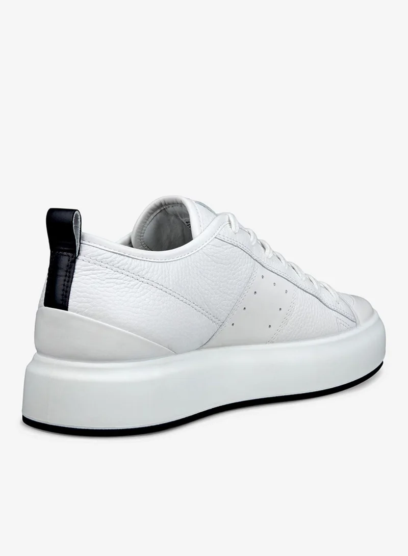 إيكو إيكو ستريت ايس ام أبيض