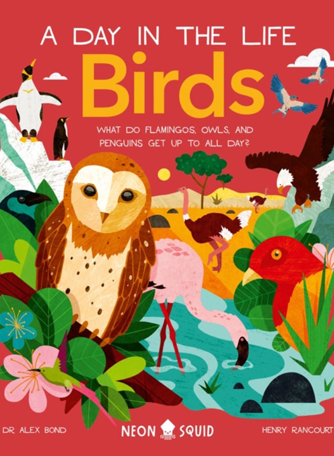 Birds (A Day in the Life) : What Do Flamingos, Owls, and Penguins Get Up To All Day? 