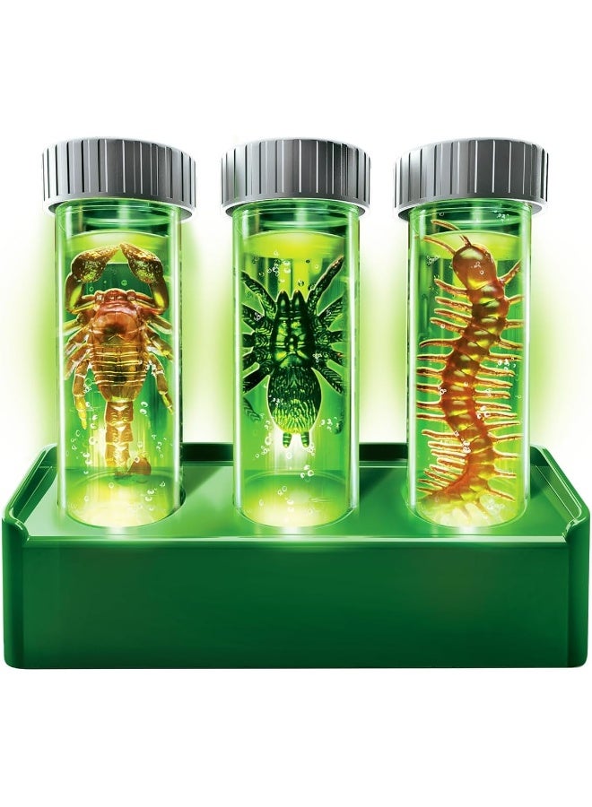 4M KidzLabs Glow Critter Crawlies Kit – Dig, Discover & Illuminate Glow-in-the-Dark Insects | STEM Science Activity for Kids Ages 5+ | 00-03469 - Image 2