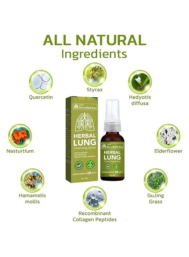 Breathdetox Herbal Lung Cleansing Spray 30ml, Natural Throat Oral Spray, Relieves Throat and Nasal Discomforts Throat - Image 2