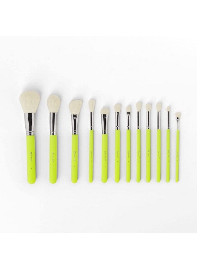 BH STUDIO PRO Makeup Brush set, Colour Festival 12-Piece Brush Set - Image 2
