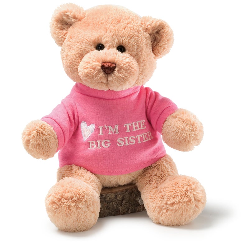 GUND “I’m The Big Sister” Message Bear with Pink T-Shirt, Teddy Bear Stuffed Animal for Ages 1 and Up, Brown, 12” - Image 1