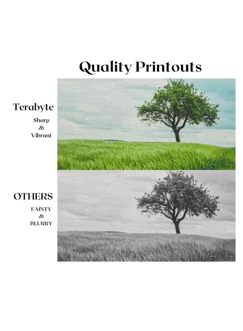 Terabyte CLT409S CYAN SAMSUNG COMPATIBLE TONER TERABYTE - Image 2