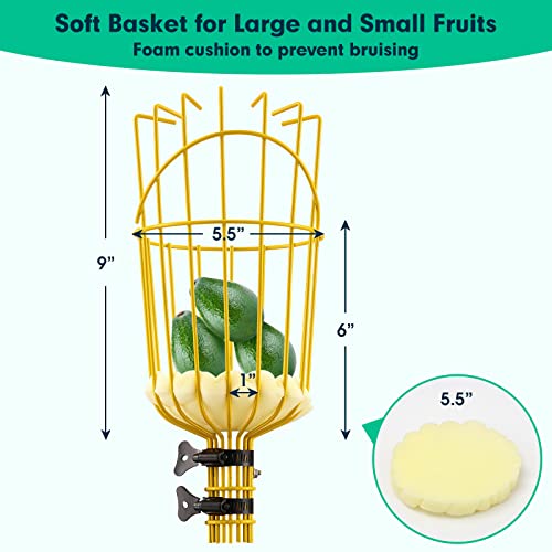 Lilyvane Fruit Picker 66 Inch Long Heavy Duty Fruit Picker Tool with Fruit Basket Adjustable Splicing Extension Fruit Picker Pole Fruit Picking Grabber - Image 3