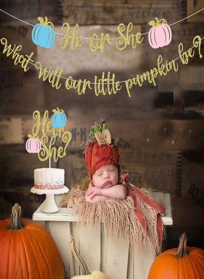 MZ.ogm Pumpkin Gender Reveal Decorations Fall Gender Reveal Decorations He or She What Will Our Little Pumpkin Be Banner He or She Cake Topper He or She Fall Baby Party Supplies - Image 2