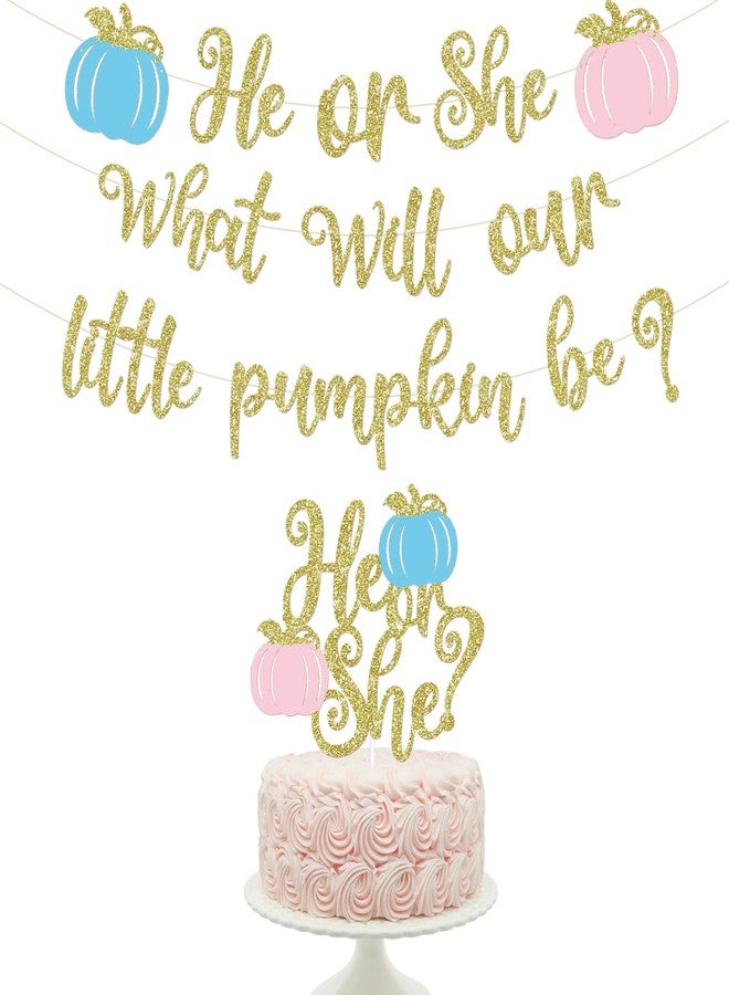 MZ.ogm Pumpkin Gender Reveal Decorations Fall Gender Reveal Decorations He or She What Will Our Little Pumpkin Be Banner He or She Cake Topper He or She Fall Baby Party Supplies - Image 1