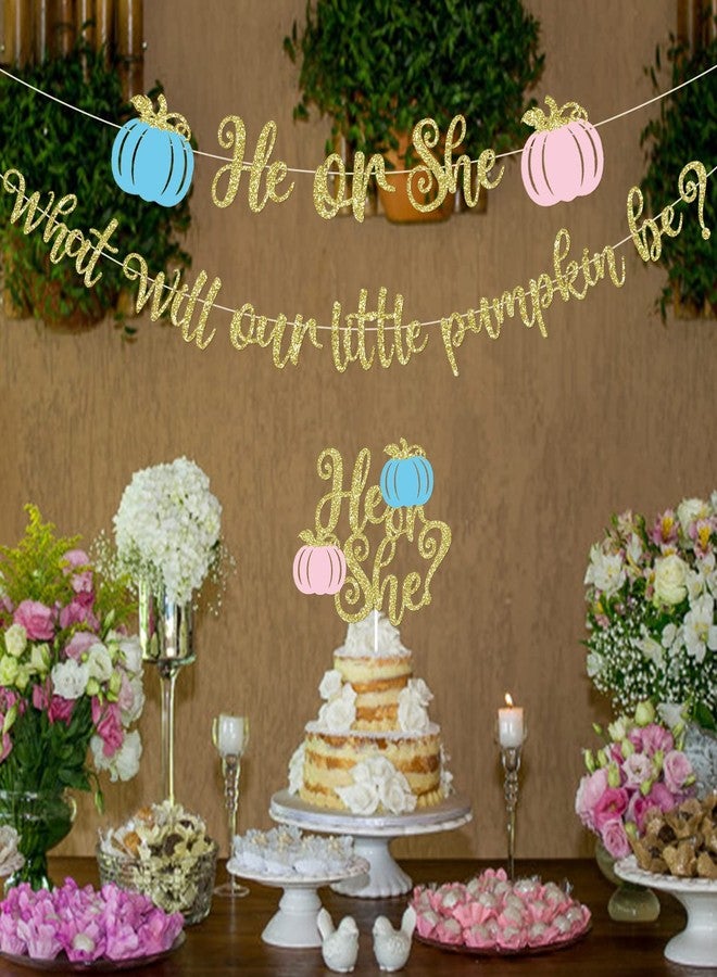MZ.ogm Pumpkin Gender Reveal Decorations Fall Gender Reveal Decorations He or She What Will Our Little Pumpkin Be Banner He or She Cake Topper He or She Fall Baby Party Supplies - Image 3