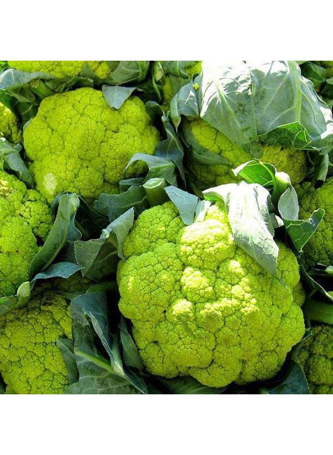 Cauliflower Green Verde Vegetable Seeds