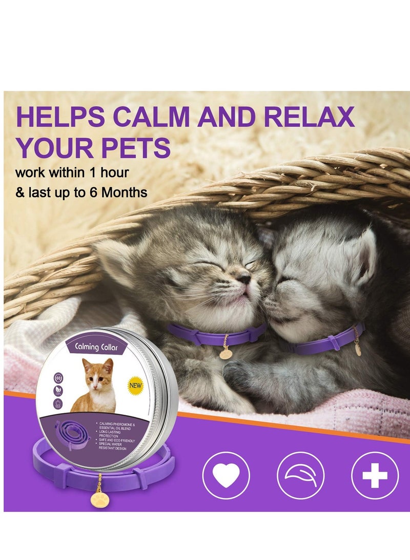 SOLARAE Calming Collar for Cats Pheromone for Efficient Cat Anxiety Relief up to 60 Days Treats Make Comfortable Relaxed - Image 2