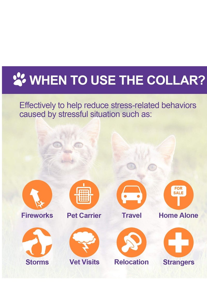 SOLARAE Calming Collar for Cats Pheromone for Efficient Cat Anxiety Relief up to 60 Days Treats Make Comfortable Relaxed - Image 5