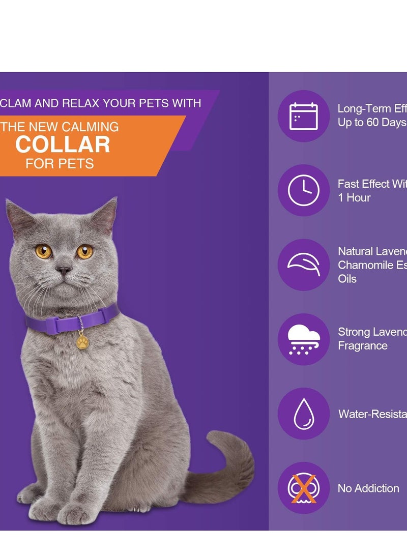 SOLARAE Calming Collar for Cats Pheromone for Efficient Cat Anxiety Relief up to 60 Days Treats Make Comfortable Relaxed - Image 4