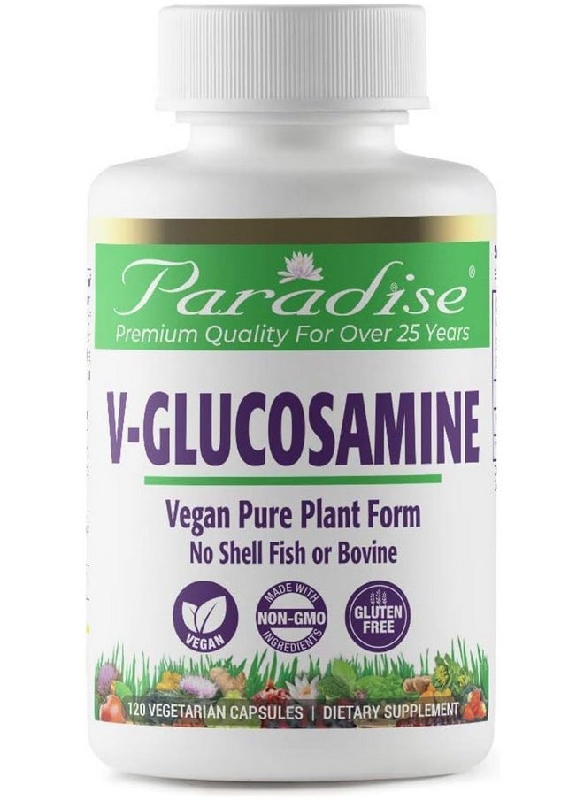 Paradise Herbs V-Glucosamine Supplement, Tissue & Joint Health, Super Potent, Ultra Pure, Vegan, Non GMO, Gluten Free, 120 Vegetarian Capsules - pzsku/ZE603DA0CF99F9AAC9884Z/45/_/1735908040/d056ae97-85c4-4670-a7cf-07c2d65f9ed9