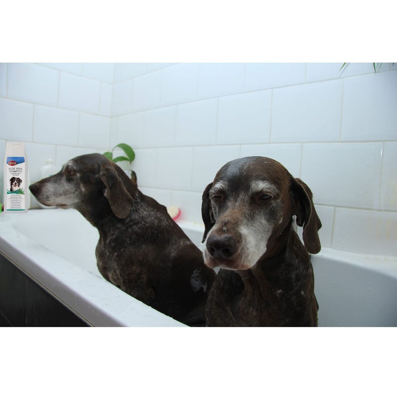 Trixie شامبو كلاب تريكسى بالألوة فيرا - فوائد الألوة فيرا التي تحتفظ بالرطوبة في الجلد، تأثير مضاد للبكتيريا يعمل بشكل جيد للبشرة الحساسة، مناسب أيضًا للكلاب ذات الشعر الطويل - 250 مل - Image 5
