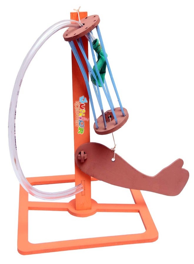 THE CURIOUS BRAIN® Human ARM Muscles Working Model- DO-IT-Yourself KIT for Girls & Boys- Science FAIR School Model- STEM Learning Activity- Biology Working Educational Toy - LAB Model - Image 1