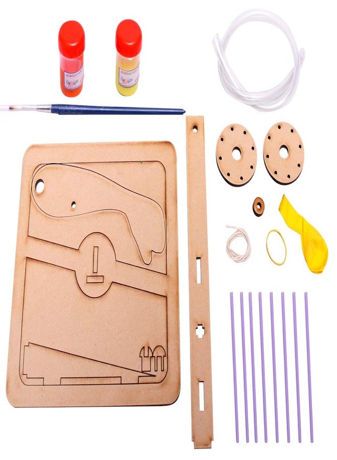 THE CURIOUS BRAIN® Human ARM Muscles Working Model- DO-IT-Yourself KIT for Girls & Boys- Science FAIR School Model- STEM Learning Activity- Biology Working Educational Toy - LAB Model - Image 3