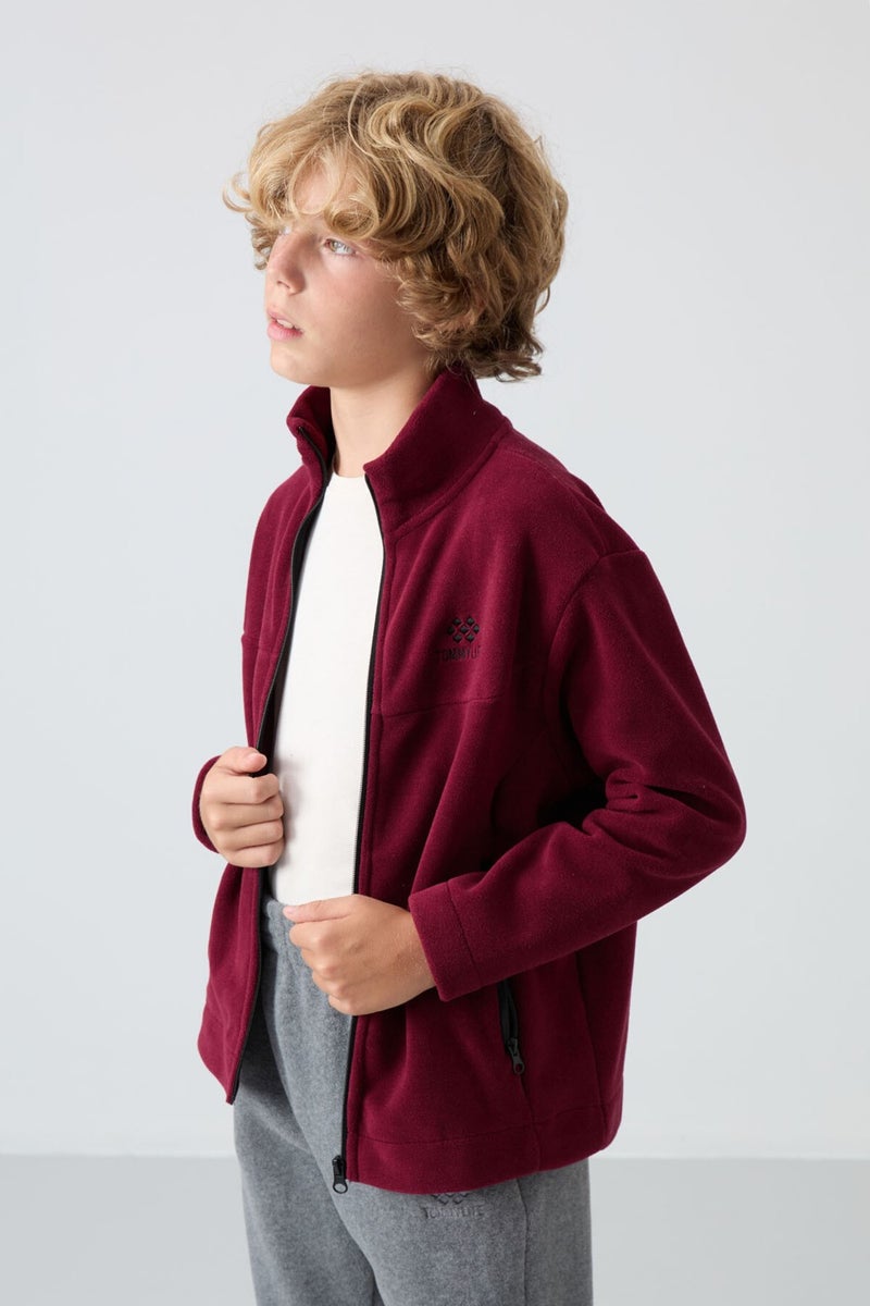 Tommy Life Erguvan Thick Soft Texture Standard Fit Embroidered Polar Fleece Boy's Sweatshirt - 11223  - Image 4