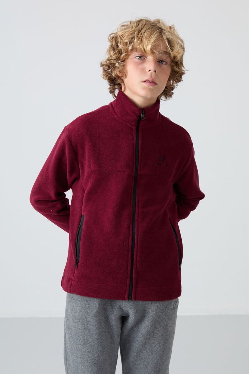 Tommy Life Erguvan Thick Soft Texture Standard Fit Embroidered Polar Fleece Boy's Sweatshirt - 11223  - Image 1