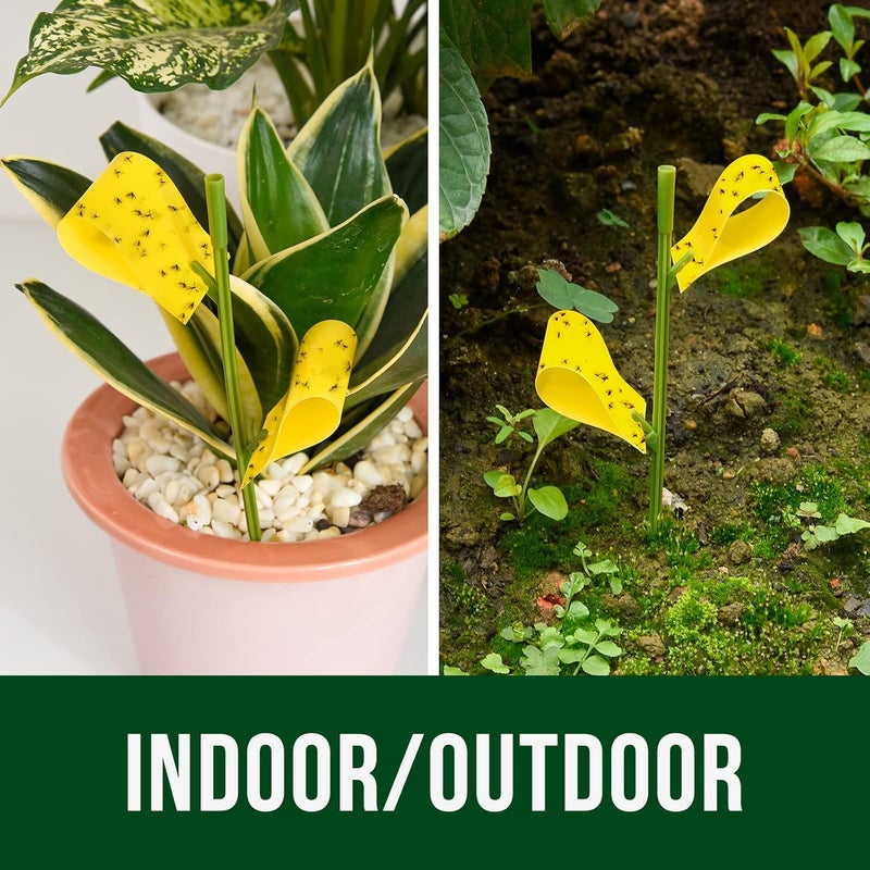 Garsum 21 Traps Sticky Houseplant Traps Gnat Yellow Insect Trap Indoor Fruit Fly Stakes Trap - Image 5