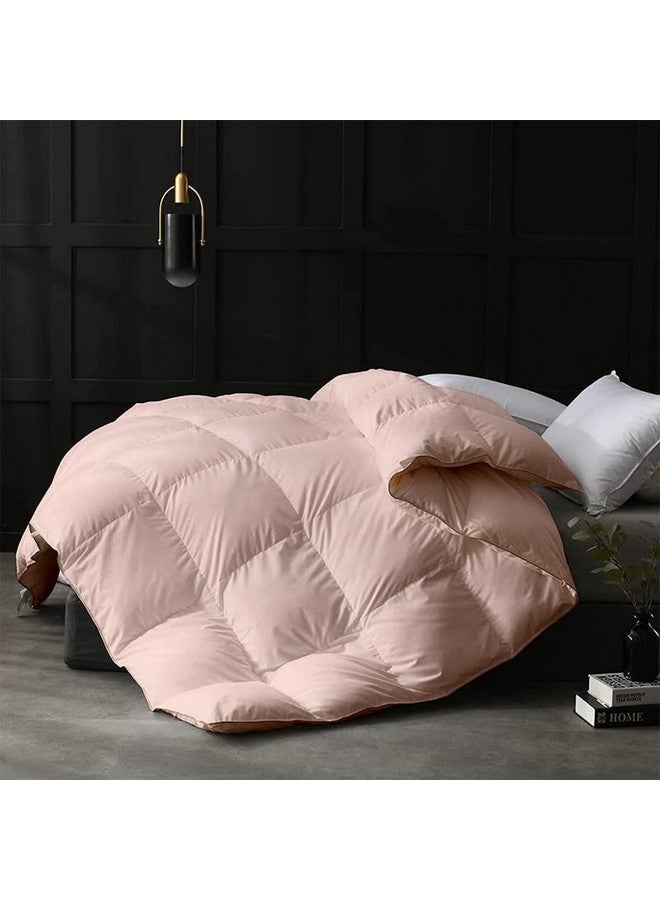 Razzai لحاف رزازي ميكروفايبر 500 GSM مجموعة الشتاء المريحة لحاف مبطن (60" × 90" بوصة/152 سم × 228 سم) - لحاف سرير مفرد | خوخي | TC - 400 - Image 1