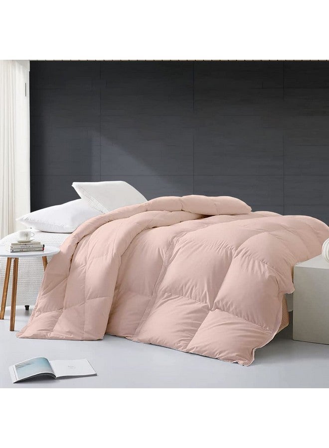 Razzai لحاف رزازي ميكروفايبر 500 GSM مجموعة الشتاء المريحة لحاف مبطن (60" × 90" بوصة/152 سم × 228 سم) - لحاف سرير مفرد | خوخي | TC - 400 - Image 2
