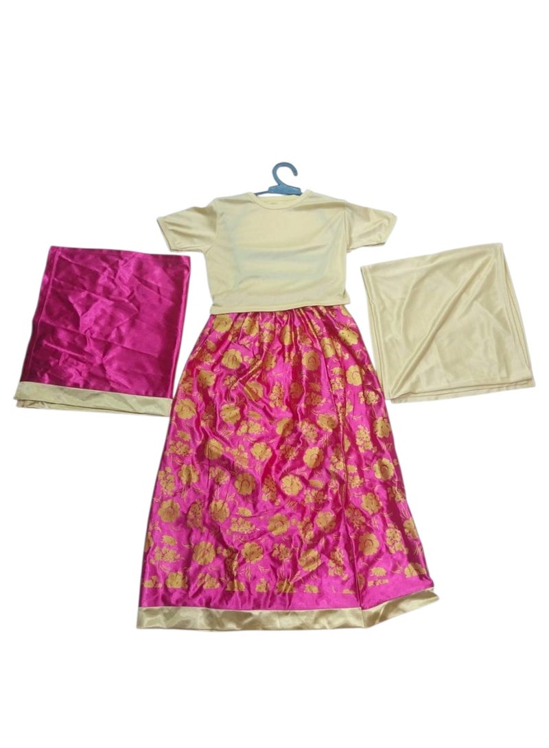 Indian Sari Costume for Girls – Size L for Ages 6 to 8 Years - Image 1