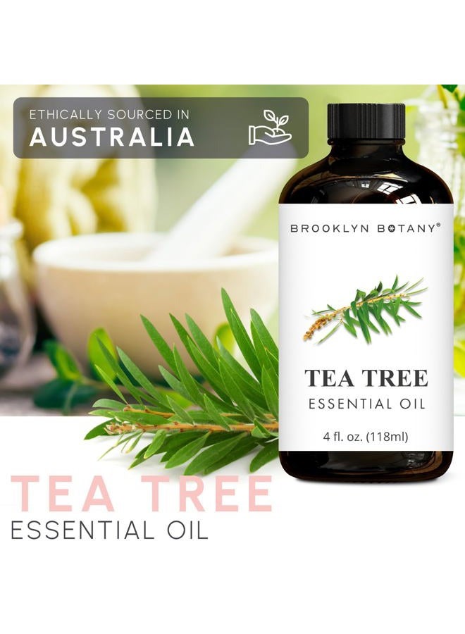 Brooklyn Botany Tea Tree Essential Oil - Huge 4 Fl Oz - 100% Pure and Natural - Premium Grade with Dropper - for Aromatherapy and Diffuser - Image 5