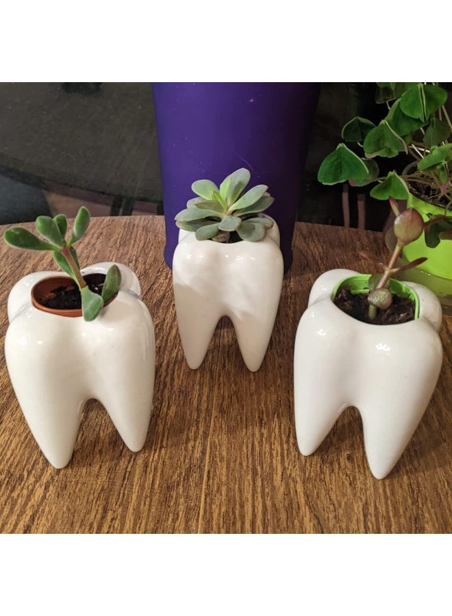 Set of 4 White Tooth Shaped Ceramic Succulent Planters, 3.7 Inch, for Desktop & Dental Office Decor - Image 3