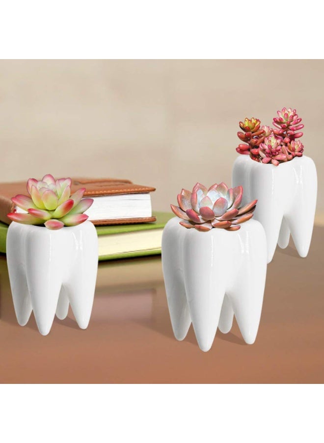 Set of 4 White Tooth Shaped Ceramic Succulent Planters, 3.7 Inch, for Desktop & Dental Office Decor - Image 5
