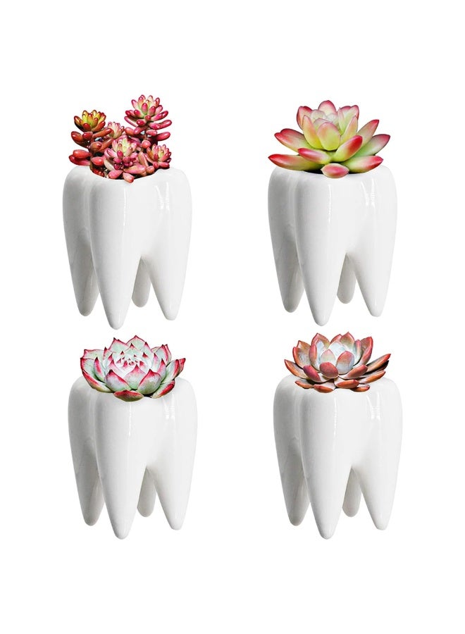 Set of 4 White Tooth Shaped Ceramic Succulent Planters, 3.7 Inch, for Desktop & Dental Office Decor - Image 1
