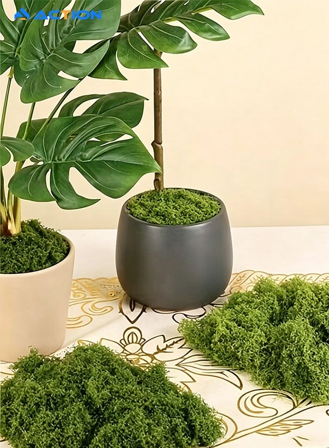 ACTION 100g Artificial Moss Grass – Realistic Fake Green Moss for Centerpieces, Home, Kitchen & Garden Decor, Perfect Preserved Forest Moss for DIY Floral Arrangements & Displays - Image 2