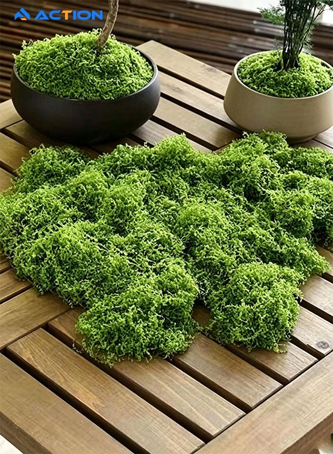 ACTION 100g Artificial Moss Grass – Realistic Fake Green Moss for Centerpieces, Home, Kitchen & Garden Decor, Perfect Preserved Forest Moss for DIY Floral Arrangements & Displays - Image 5
