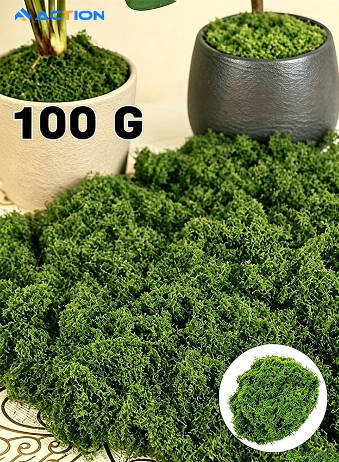 ACTION 100g Artificial Moss Grass – Realistic Fake Green Moss for Centerpieces, Home, Kitchen & Garden Decor, Perfect Preserved Forest Moss for DIY Floral Arrangements & Displays - Image 1