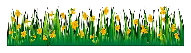 Akki Wold PVC Self-Adhesive Green Grass with Flower Wall Sticker for Kid's Living Room Bedroom for Home Hall Decor Wall Sticker (Size - 27 cm X 90 cm) - Image 1