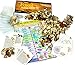 DANCING BEAR Fossil Collection Sorting Activity Kit with Over 100 Pcs More Than 20 Different Fossil Varieties Educational ID Sheet Color ID Cards Bags Magnifying Glass and Shark Teeth - Image 3