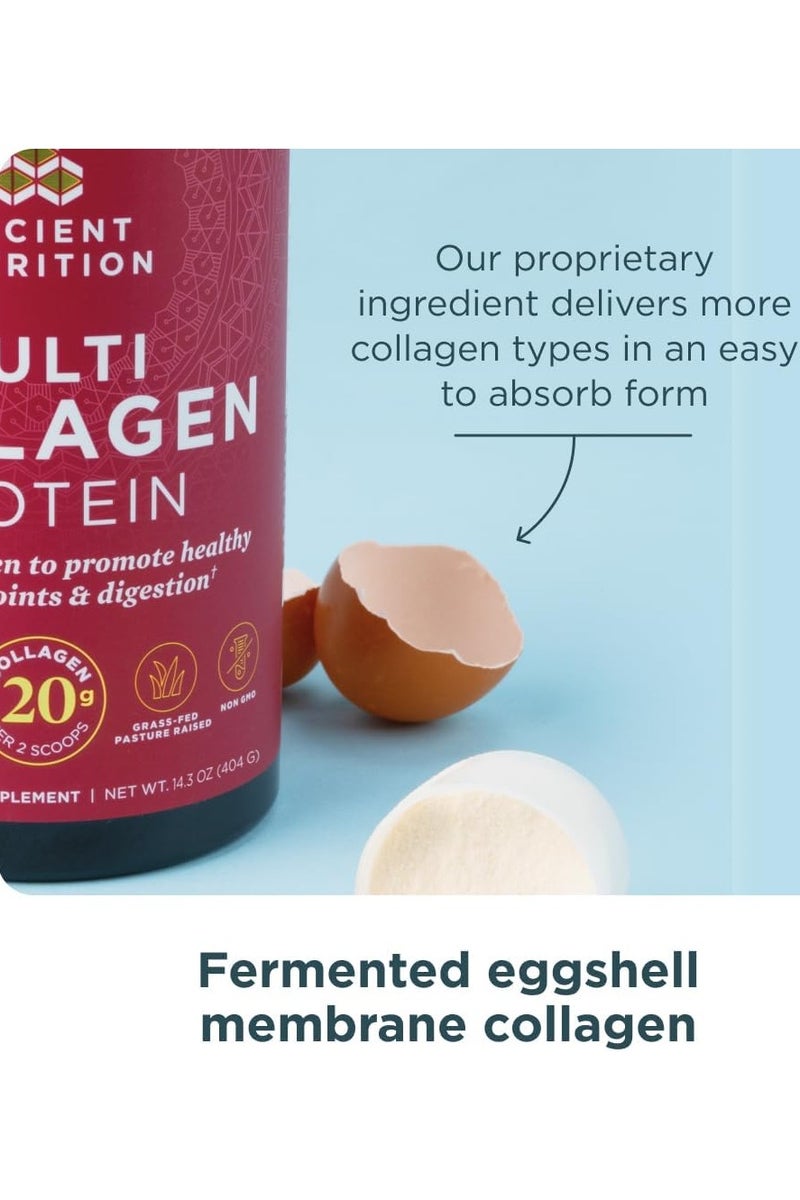 Ancient Nutrition Multi Collagen Powder Protein with Probiotics Unflavored (Unflavored, 24 Servings) 8.6 oz - Image 4