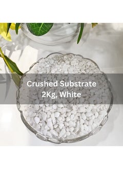 Generic Natural Gravel (White Marble, 2Kg) (7Mm - 13Mm) Decorative Stones For Aquarium/Fish Tank, Garden, Home Decoration, Vase Filler Indoor & Outdoor Pebble  - Image 3