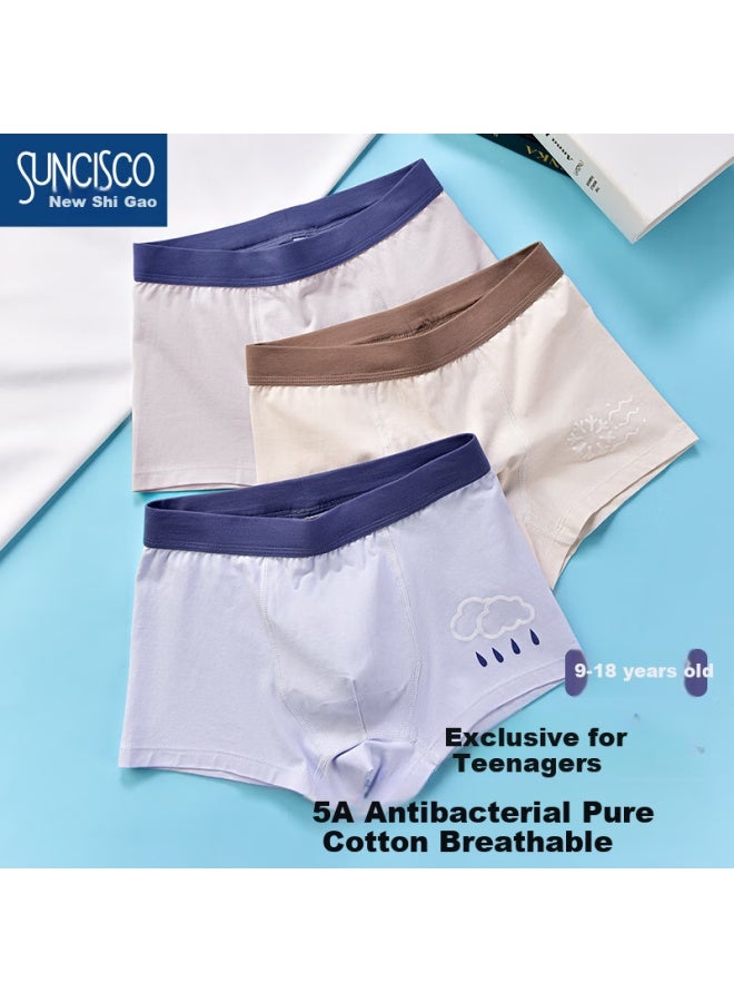 Suncisco Boys' Boxer Briefs For Ages 12-16, Antibacterial Underwear For Teenagers In Puberty, 170 - Image 1