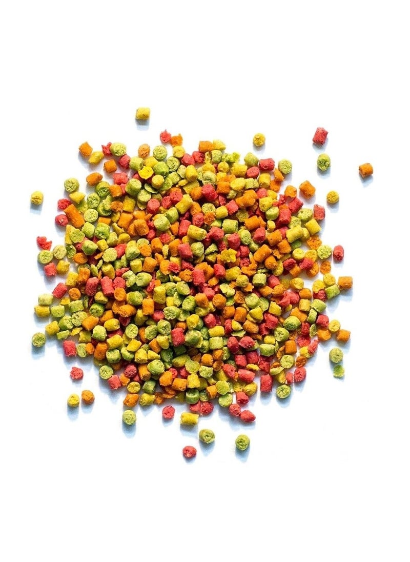 Zupreem Mixed Fruits for Small Birds 397g - pzsku/ZE61464DE3498183CF55FZ/45/_/1734272211/7a65eb2d-2970-4b25-8bf9-66067639e82a