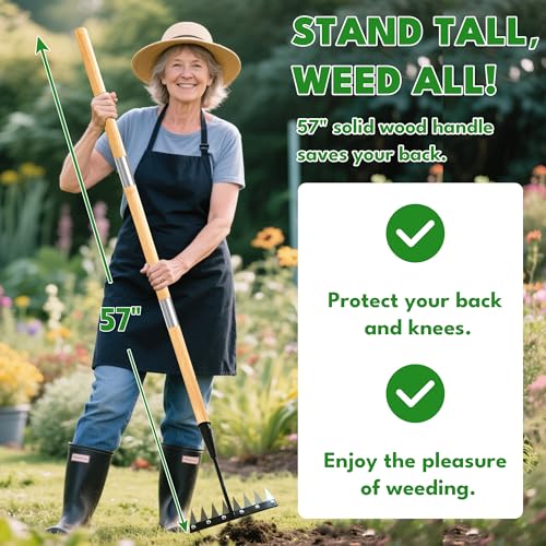 PREMJIN Iron Weeding Rake with Long Handle 20 Upgraded 8 Teeths Garden Weed Puller Tool Heavy Duty Gardening Tool for Lawn Flower Beds Soil Aeration - Image 3