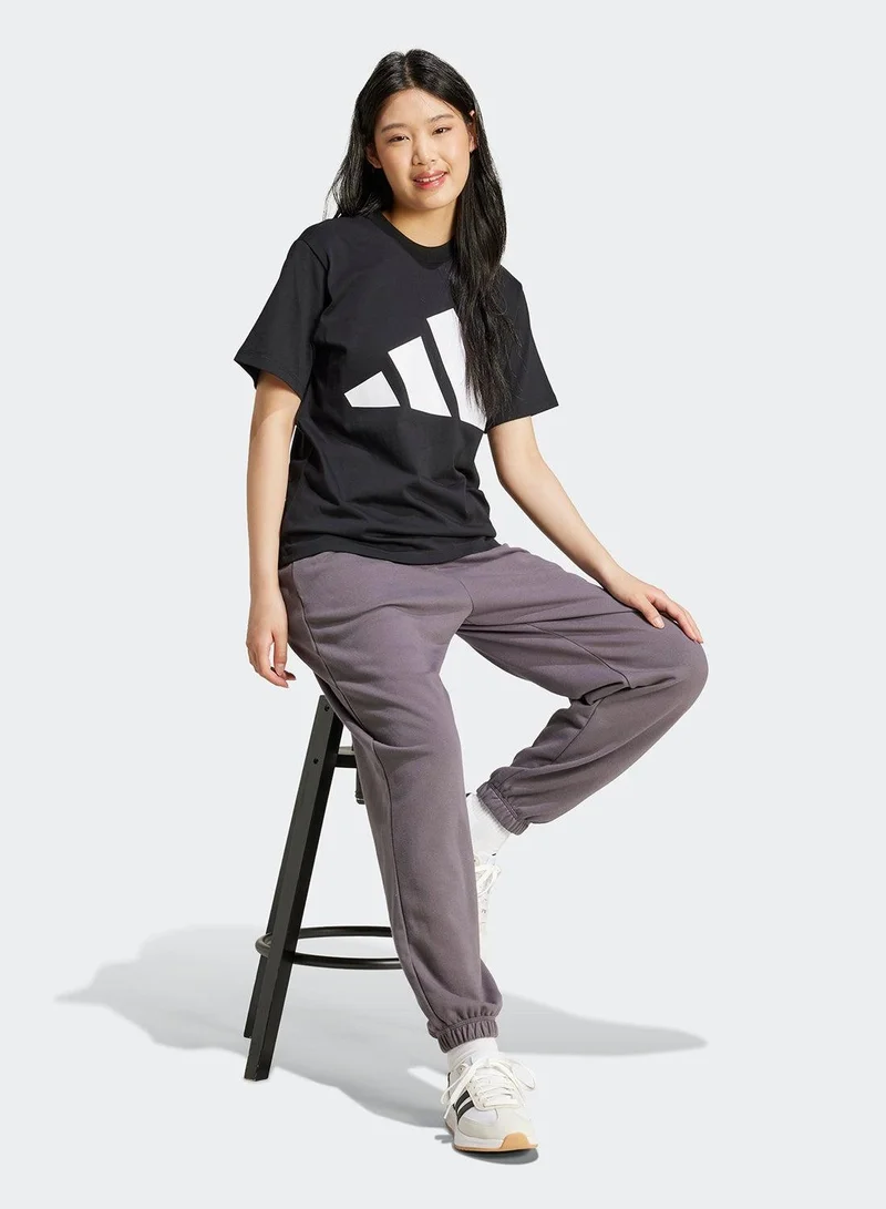 Adidas adidas essentials big logo cotton women graphic t-shirt