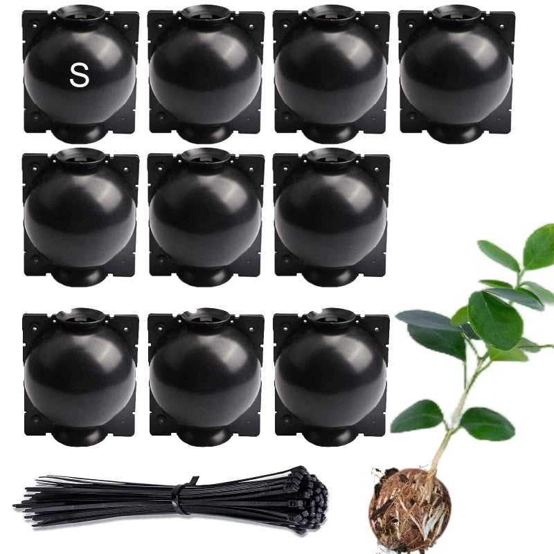 Lazzineer Tree Root Growing Box, Reusable Transparent Plants Asexual Reproduction Grafting Ball, High Pressure Air Layering Pods Propagation Kit (10pcs Small) - Image 1