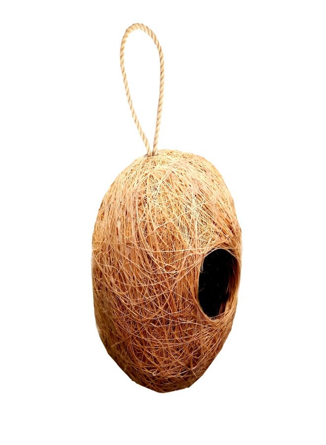 LIVEONCE Apple Bird nest Purely Handmadelove Birds/Sparrow/Small Birds,Material Type -Coir,Color -Brown, Size (H 13 cm,Diameter 15 cm), Pack of 1 - Image 4