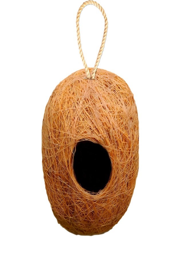 LIVEONCE Apple Bird nest Purely Handmadelove Birds/Sparrow/Small Birds,Material Type -Coir,Color -Brown, Size (H 13 cm,Diameter 15 cm), Pack of 1 - Image 5